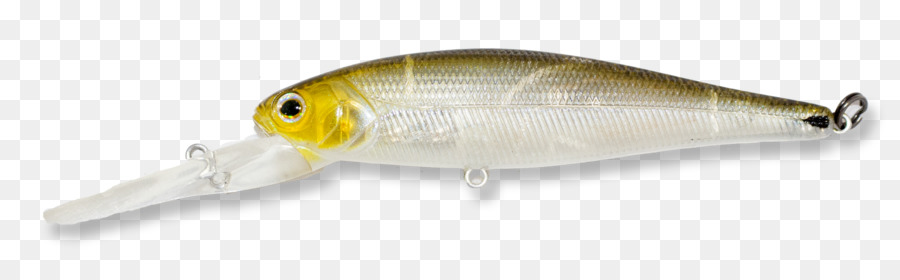 صيد السمك الطعم，الصيد PNG