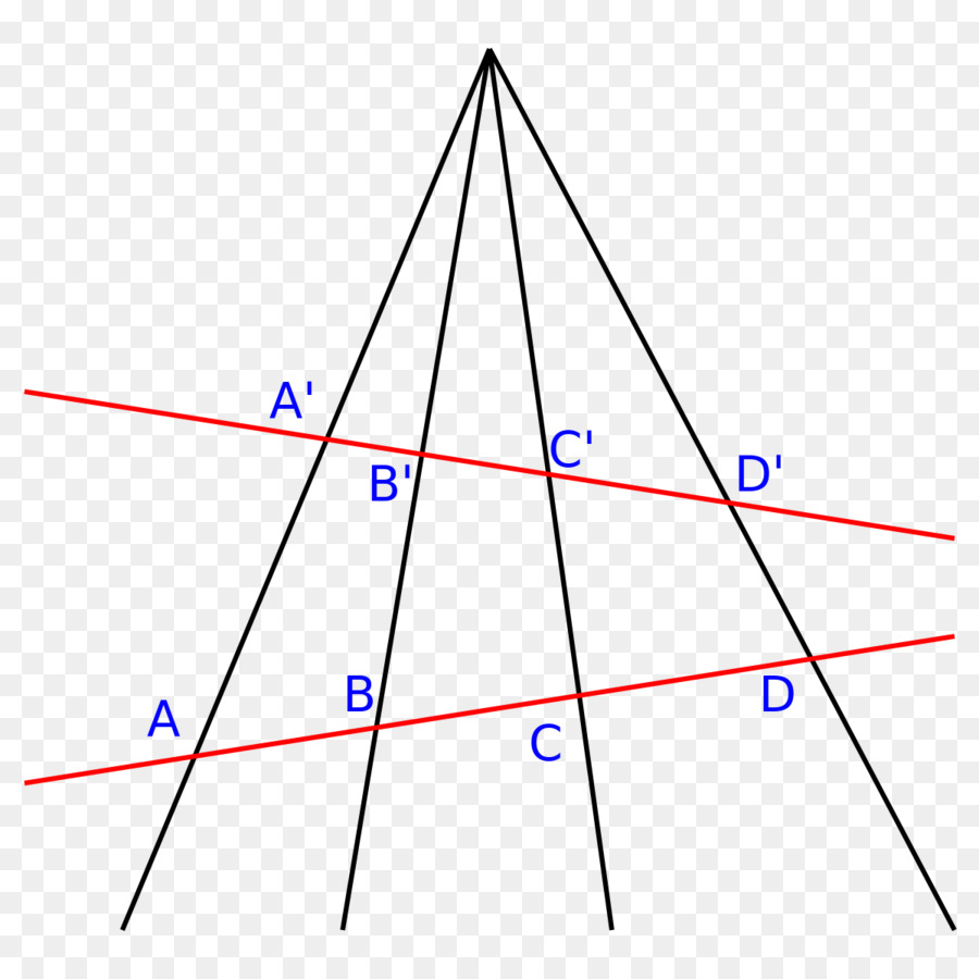 Crossratio，Homography PNG