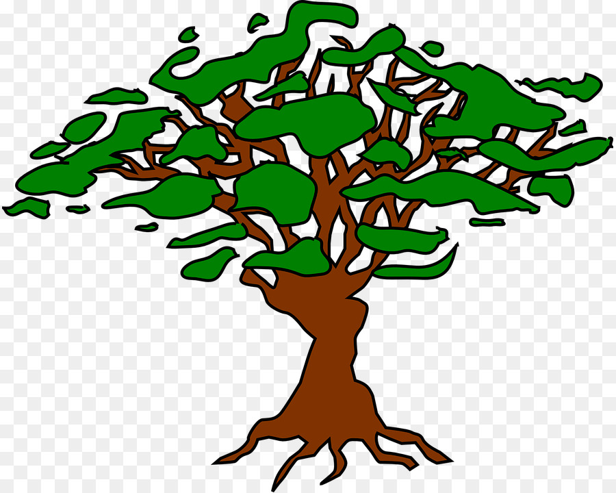 شجرة，الجذر PNG