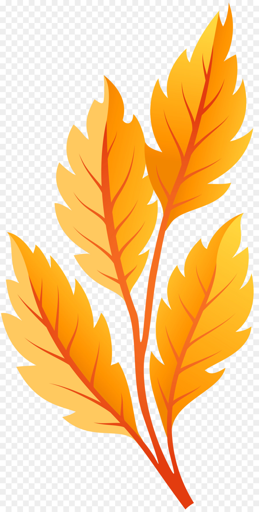 ورقة，أوراق الخريف اللون PNG