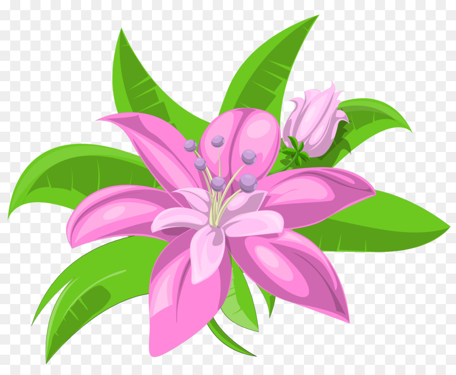 زهرة，الزهور الوردية PNG