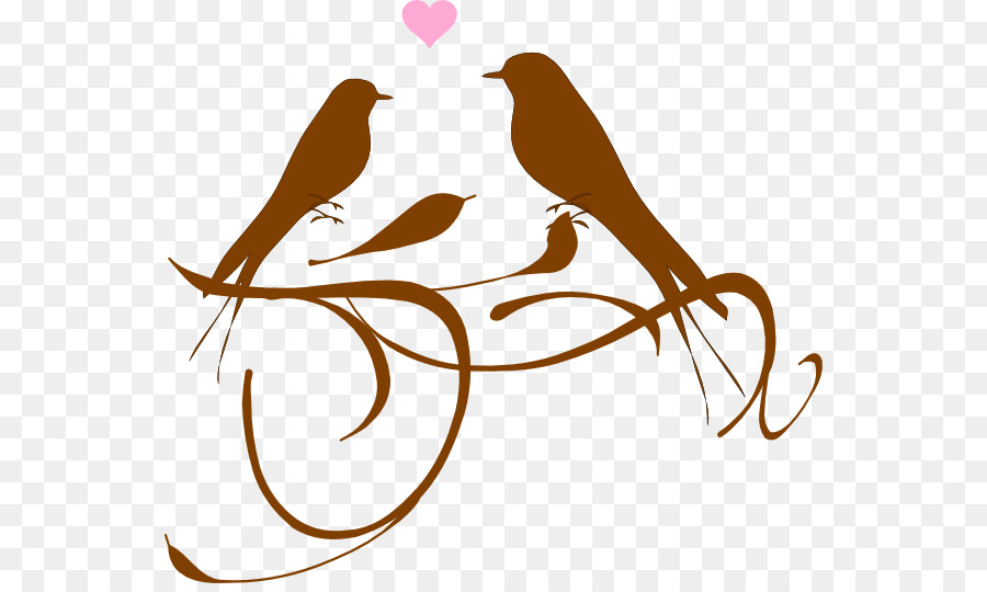 Lovebird，الطيور PNG
