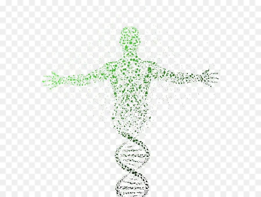 الحمض النووي，تسلسل الحمض النووي PNG
