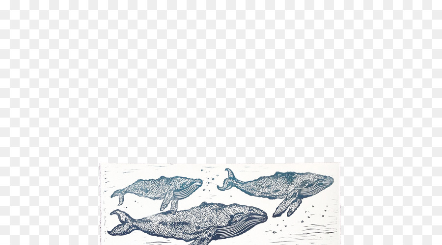 الثدييات البحرية，دولفين PNG