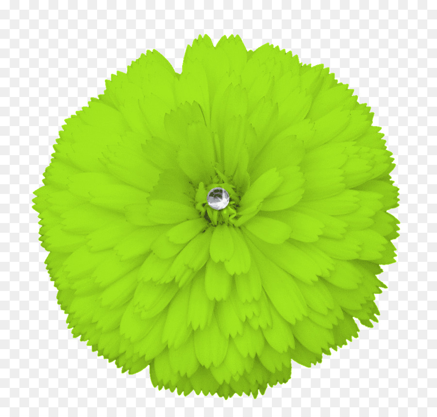 زهرة，الأخضر PNG