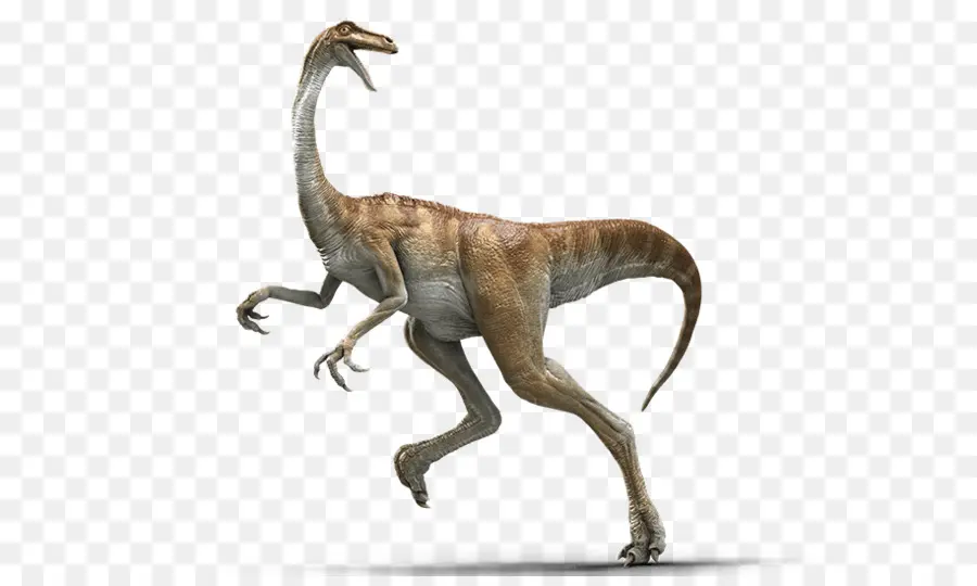 Gallimimus，فيلوسيرابتور PNG