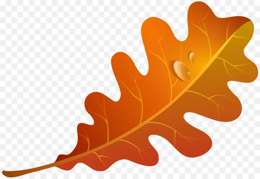 البرتقال ورقة الزبادي المجمد，أوراق الخريف اللون PNG