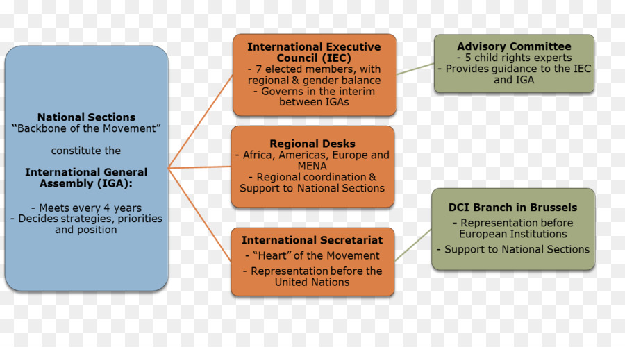 المخطط التنظيمي，الهيكل التنظيمي PNG