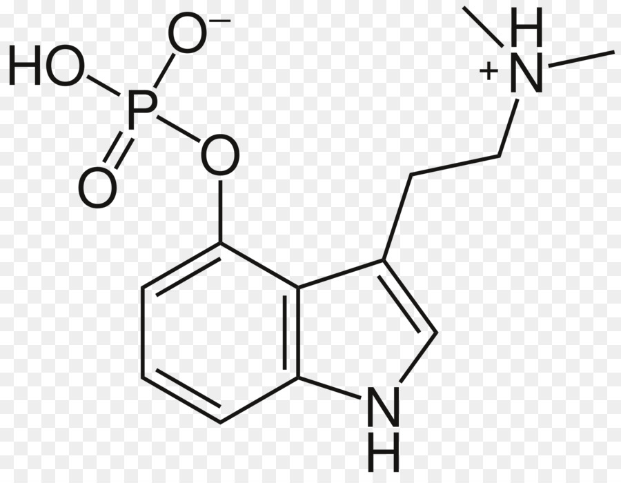 Nndimethyltryptamine，سيلوسيبين PNG
