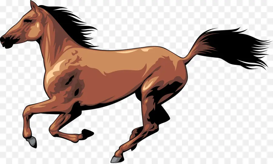 حصان，رسم PNG