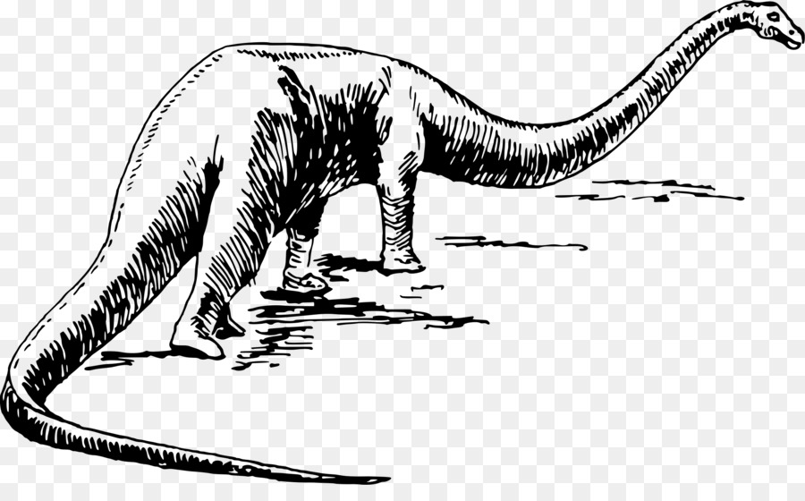 ديناصور, الرسم, Sauropoda صورة بابوا نيو غينيا
