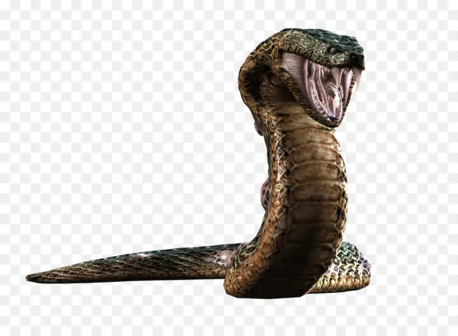 مصاص الدماء，Resident Evil 3 Nemesis PNG