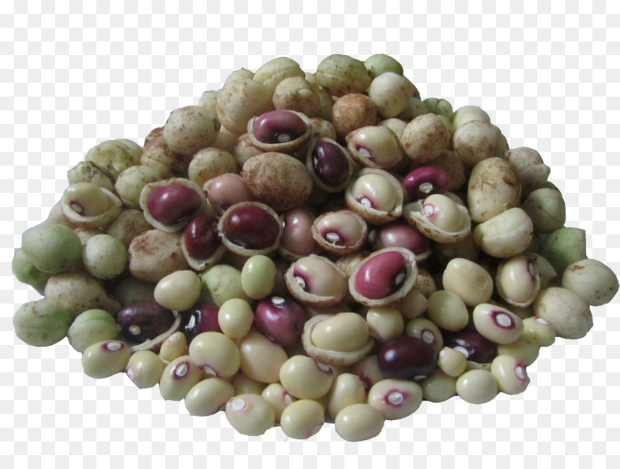 بوجور，Vigna Subterranea PNG