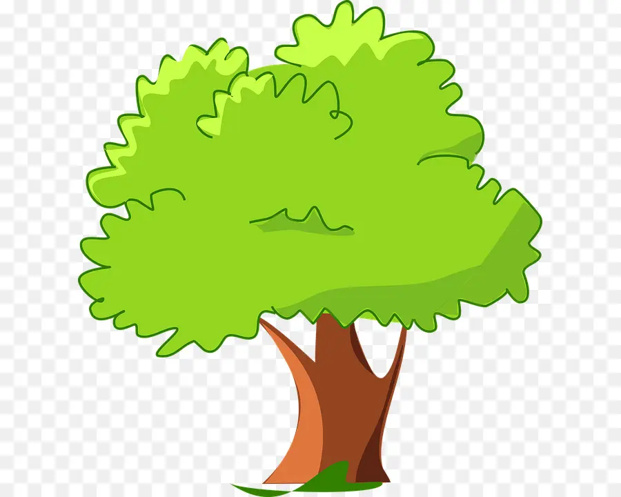 شجرة，الكرتون PNG