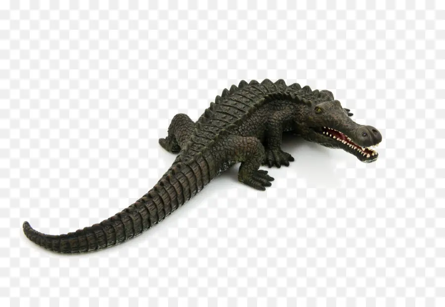 Sarcosuchus，تمساح PNG