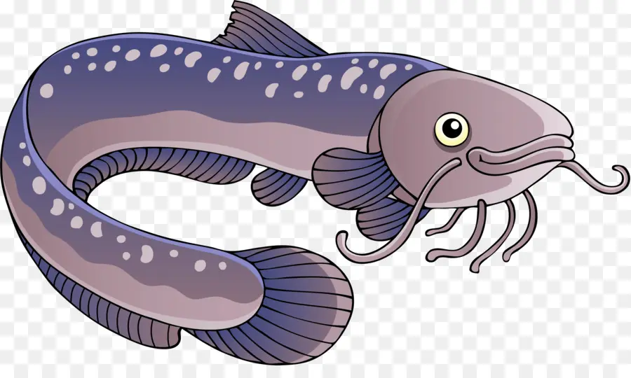 ثعبان البحر，ثعبان البحر الكهربائي PNG