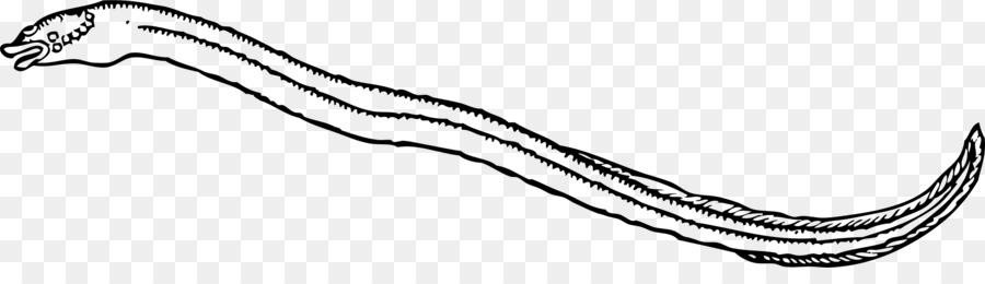 ثعبان البحر موراي，ثعبان البحر الكهربائي PNG