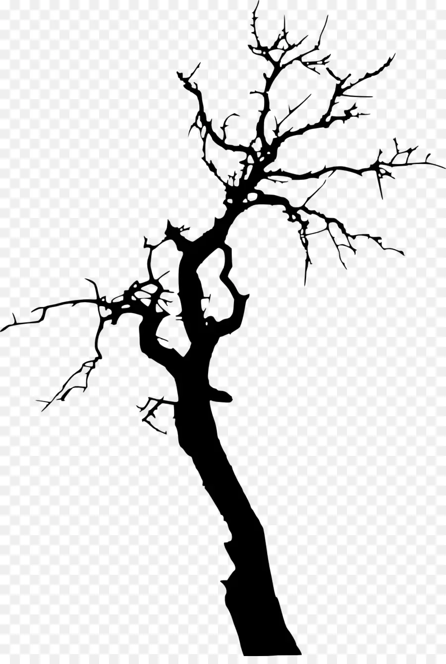 شجرة，الموت PNG