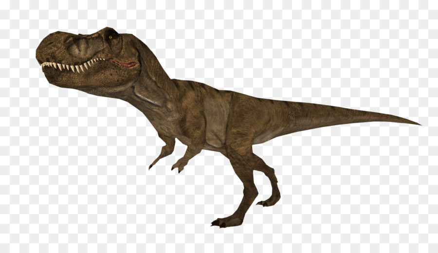 الديناصور，حديقة حيوان تاجر الديناصورات والحفريات PNG