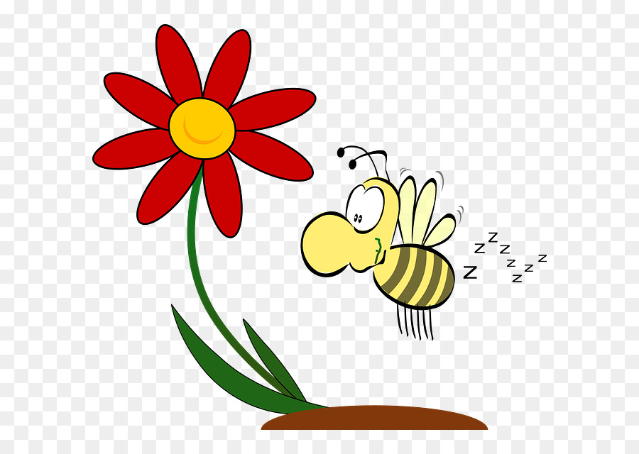النحل，الأز النحل PNG