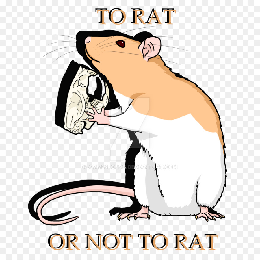 القوارض，الفئران PNG