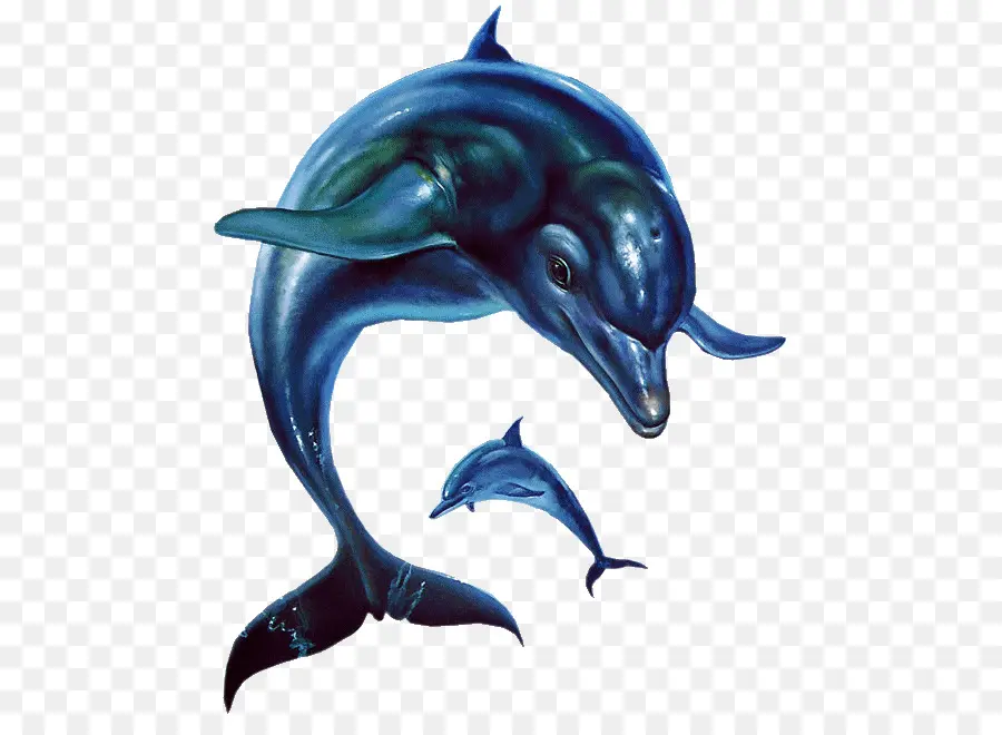 Ecco The Dolphin，Ecco المد والجزر من الوقت PNG