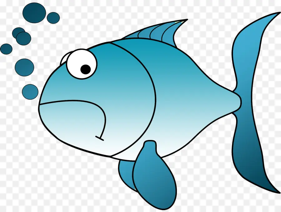 الأسماك，الرسم PNG
