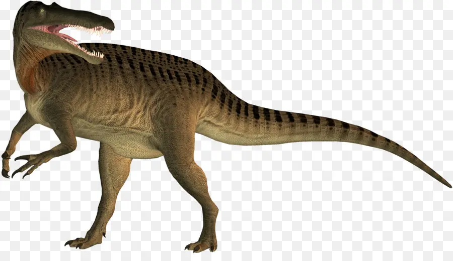 Suchomimus，الديناصور PNG