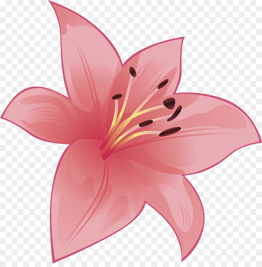 زهرة，قطع الزهور PNG