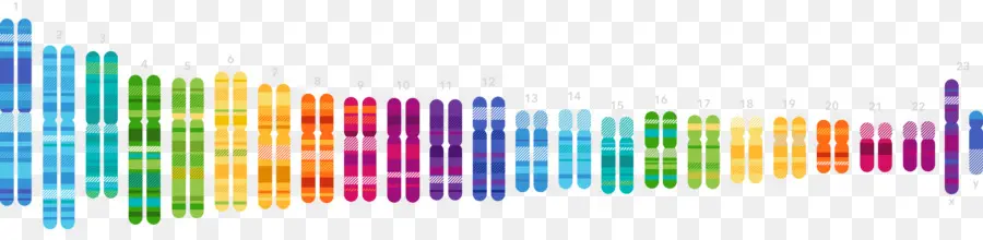 مشروع الجينوم البشري，23andme PNG