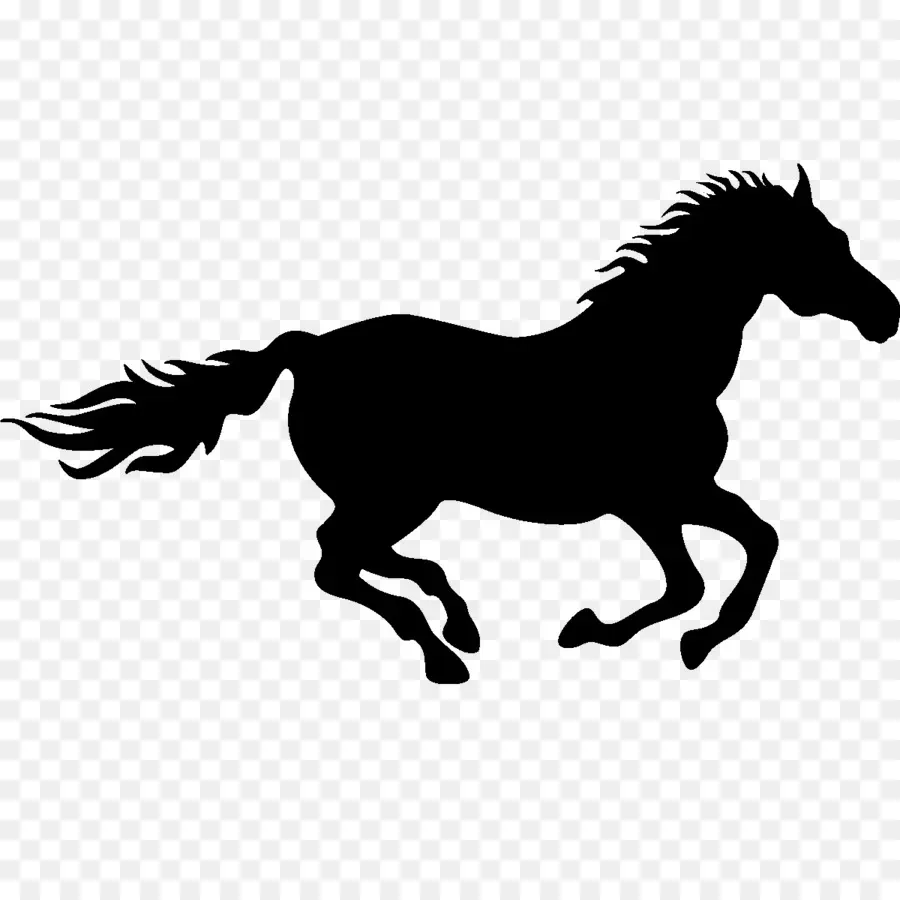 الحصان，الرسم PNG