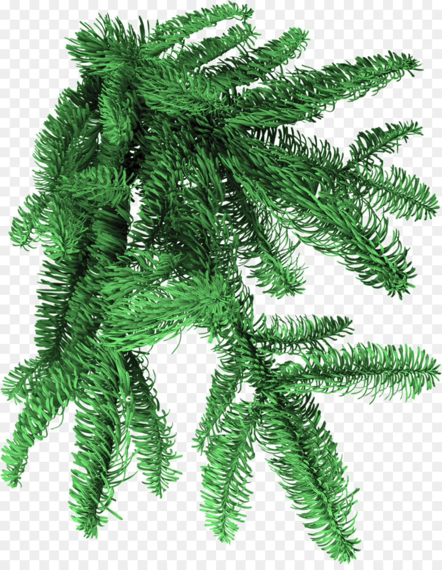 شجرة التنوب，برنامج Photofiltre PNG