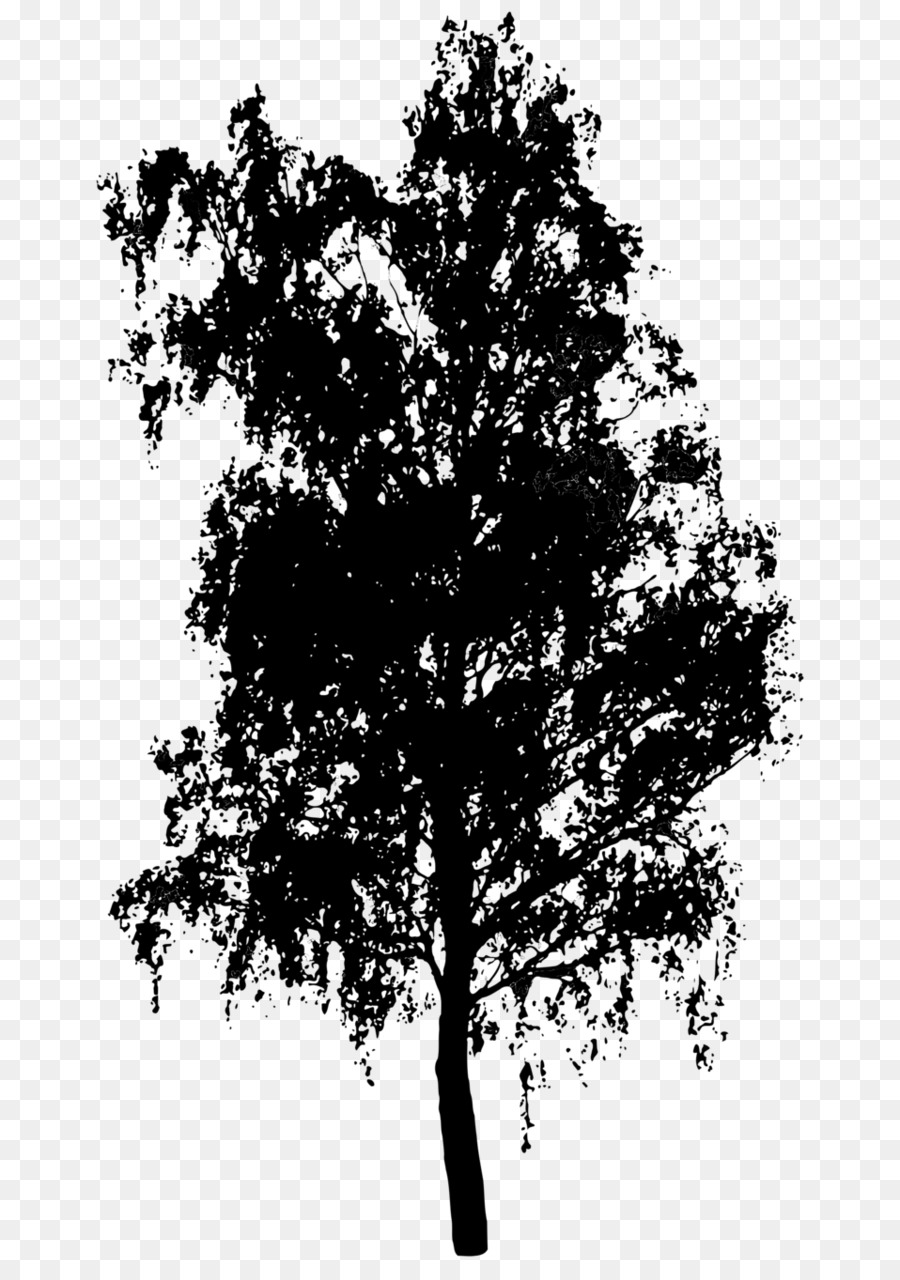 شجرة，صورة ظلية ، PNG