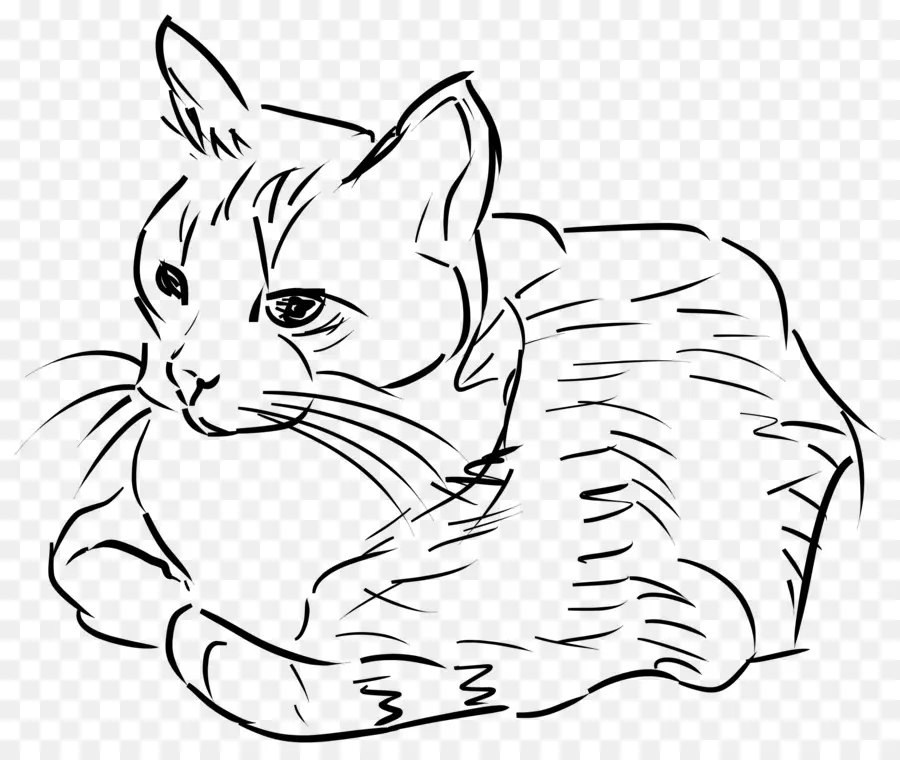 القط，الرسم PNG