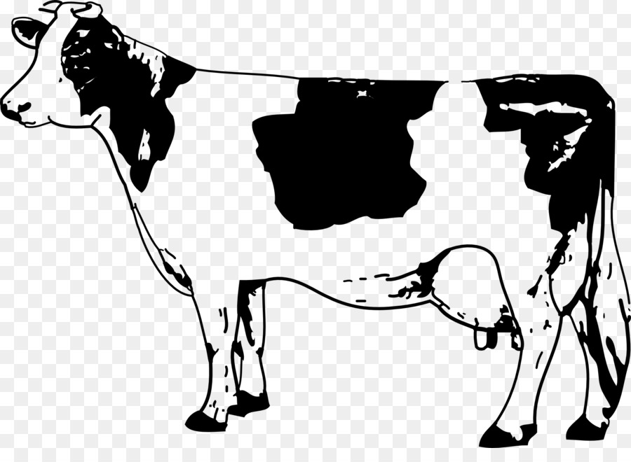 تكساس قرون طويلة，جيرسي الماشية PNG