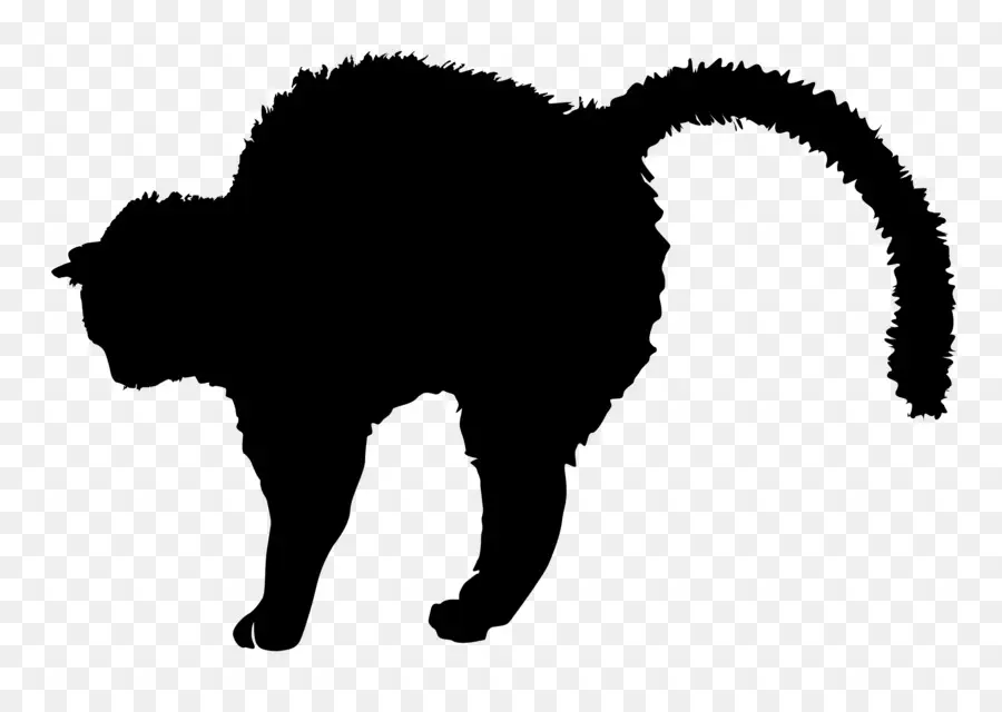 القط，صورة ظلية ، PNG