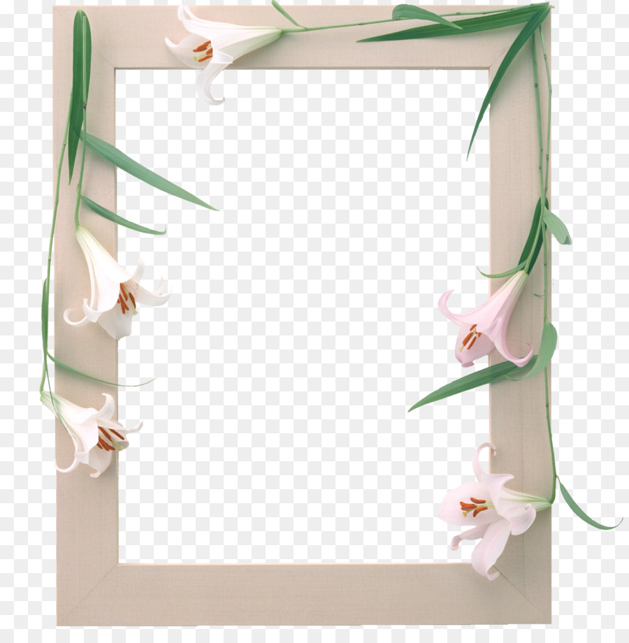 زهرة，Lilium PNG