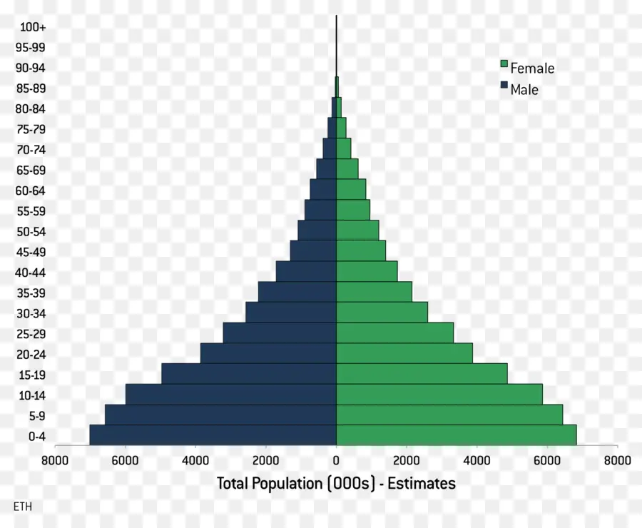 الهرم السكاني，التركيبة السكانية PNG
