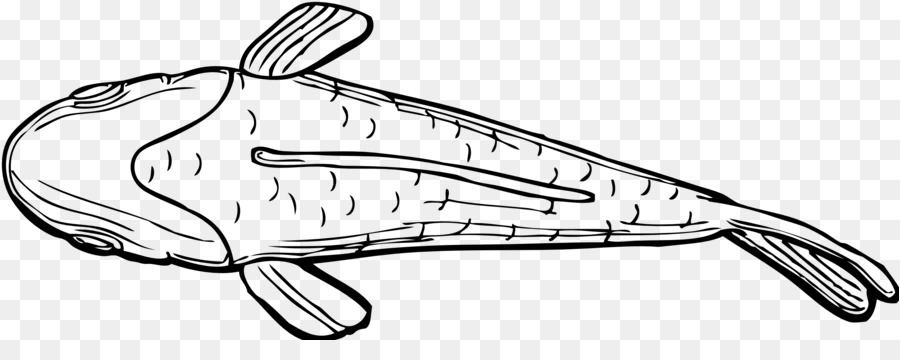 سمكة，رسم PNG