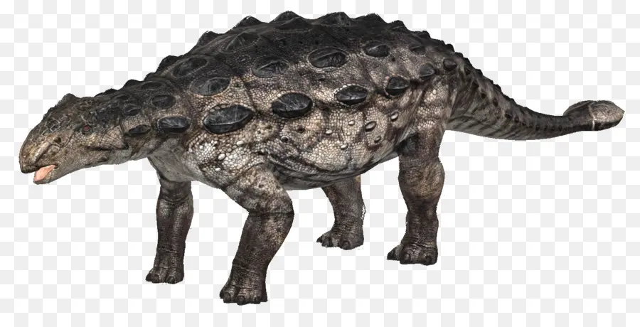 Ankylosaurus，الديناصور PNG