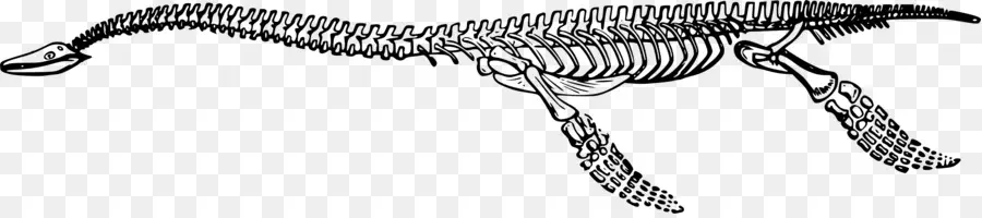 Plesiosauria，الديناصور PNG