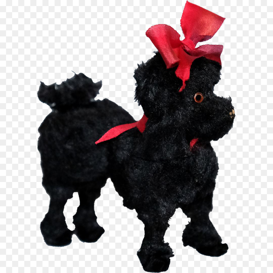 شنودل，Affenpinscher PNG