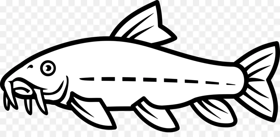 سمك السلور，الرسم PNG
