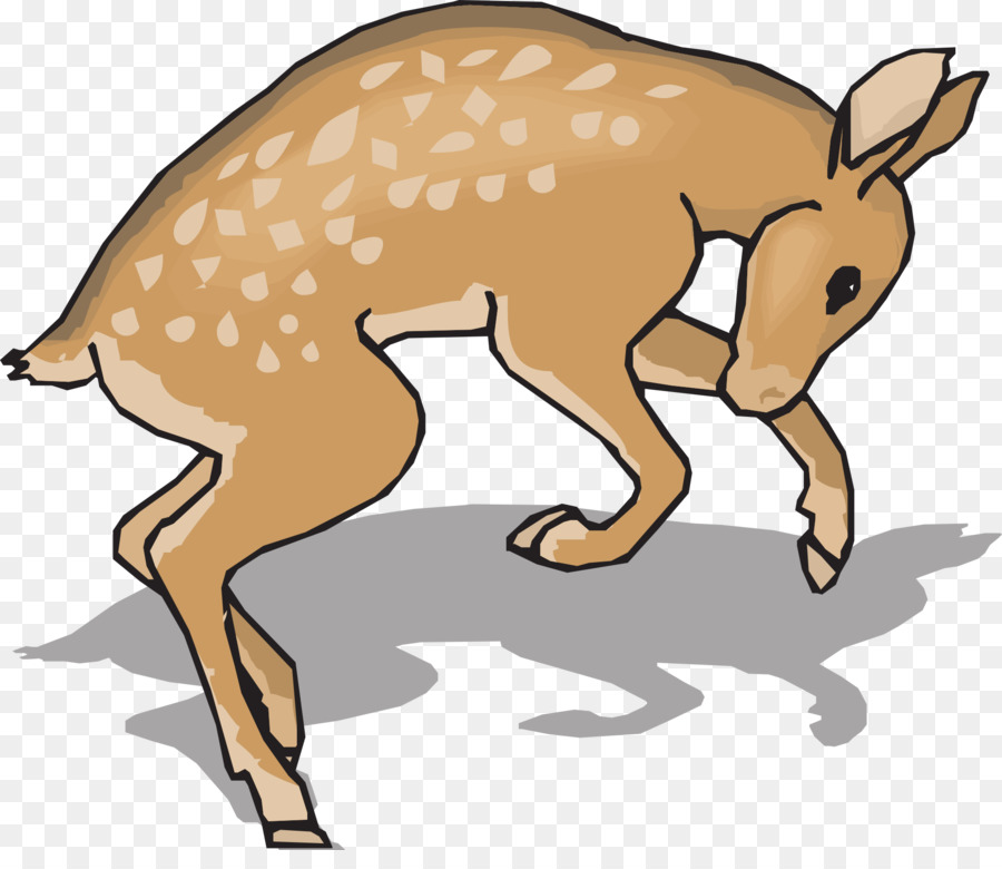 الغزلان，Whitetailed الغزلان PNG