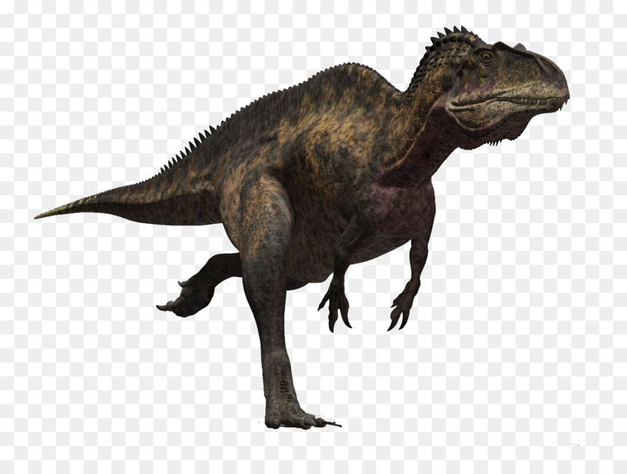Acrocanthosaurus，Triceratops PNG