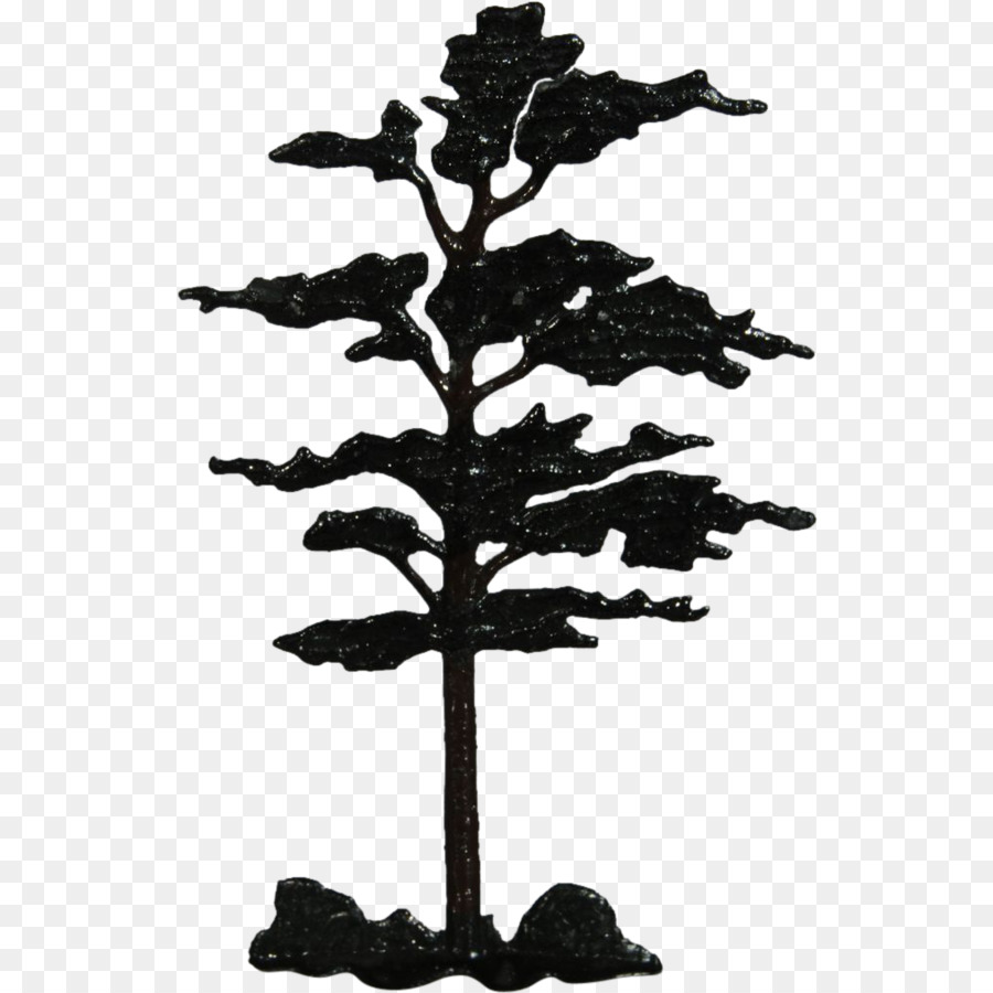 شجرة，التنوب PNG