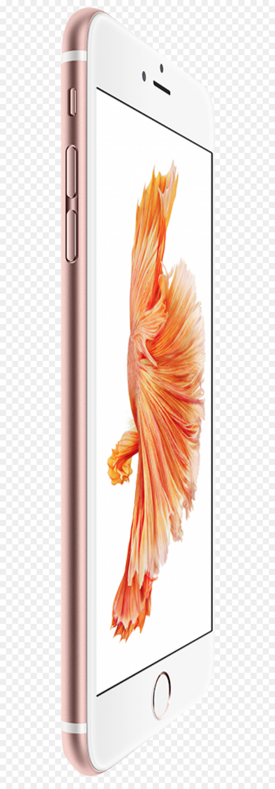 اي فون 6 زائد，Iphone 6s Plus PNG