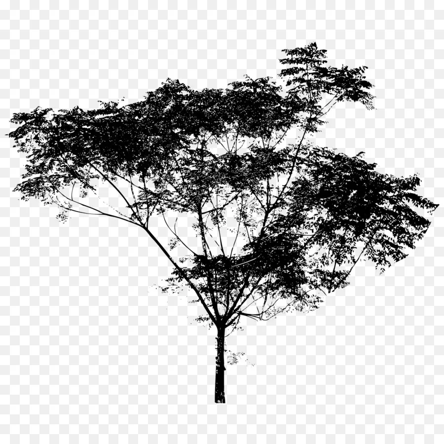 Royaltyfree，شجرة PNG