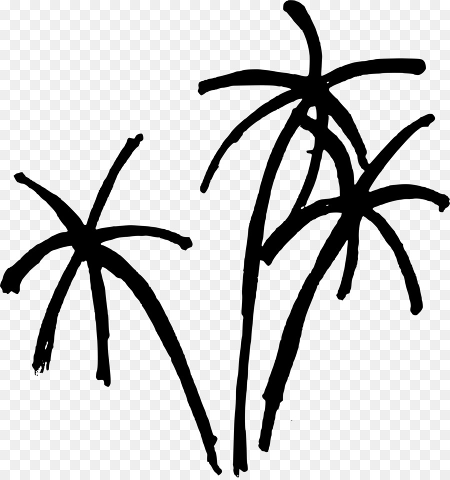 Arecaceae，مصنع PNG