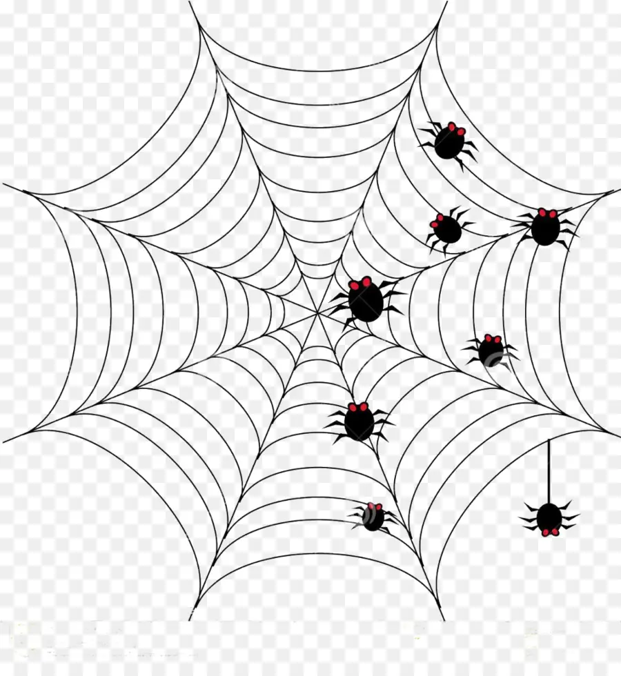 عنكبوت，عيد الرعب PNG